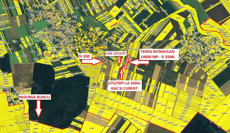 Dascalu teren  intravilan  14000mp  comision 0%